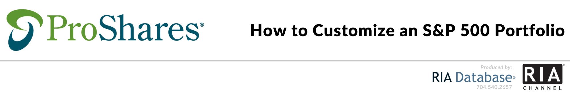 How to Customize an S&P 500 Portfolio